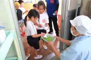 枝豆の鞘剥きの様子1０