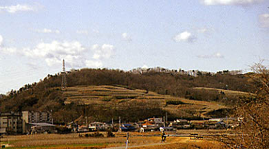 山名城（東より）の画像