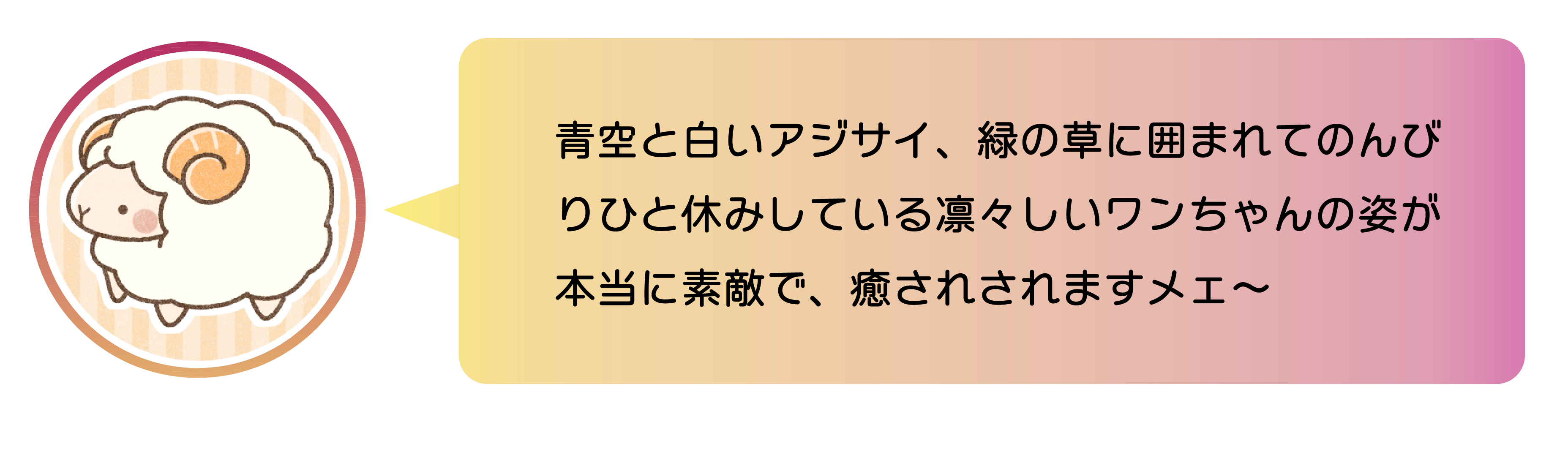 青空と白いアジサイ、緑の草に囲まれてのんびりひと休みしている凛々しいワンちゃんの姿が本当に素敵で、癒されされますメエ～