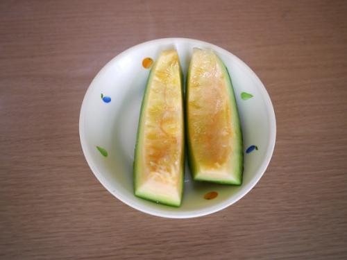 メロンの様子