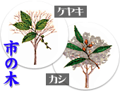 市の木　ケヤキとカシ