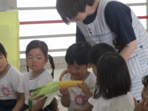 野菜②