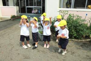 野菜の収穫をする年少と年中の子どもたち１０