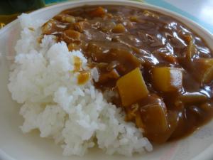 0902 チキンカレー