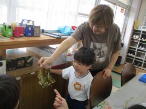 昆虫の観察③
