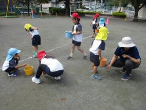 いしひろい