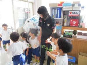 幼虫の世話①