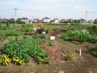 市民農園