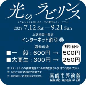 光のラビリンスインターネット割引券