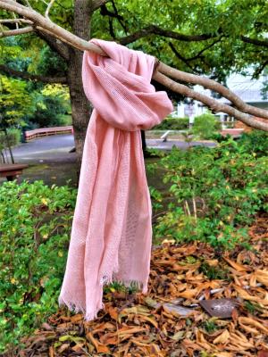 桜染めストール