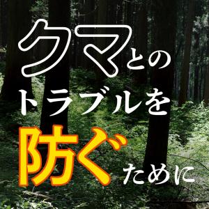 クマとのトラブルを防ぐためにの画像